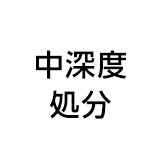 中深度処分