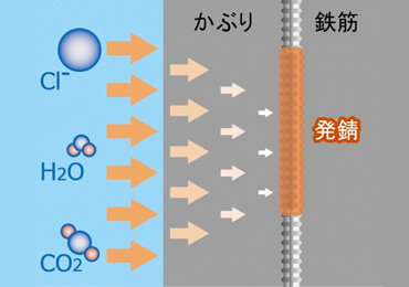 図版：劣化因子の侵入と鋼材腐食の概念図