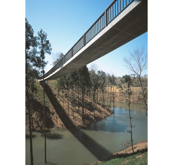 バーディー橋