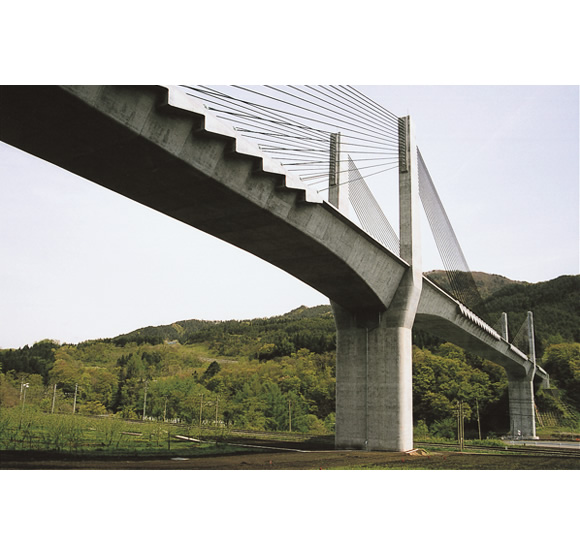 三戸望郷大橋