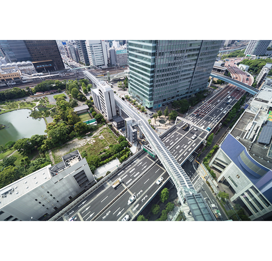 港歩行者専用道第8号線