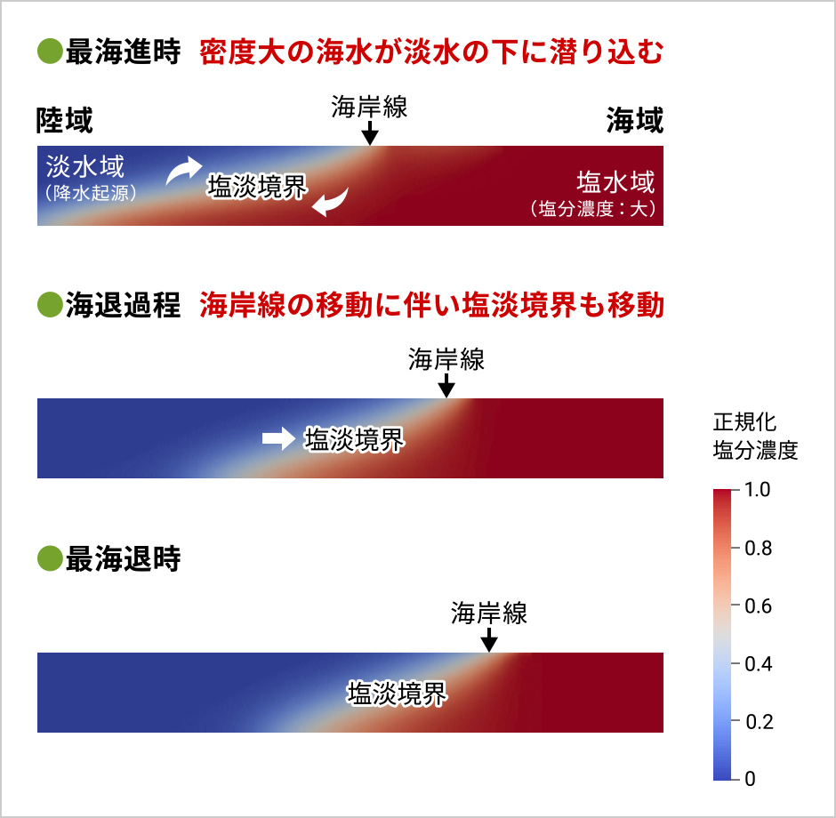 図版:密度流解析による地下水中の塩分濃度分布と海水準変動による分布領域の移動の例