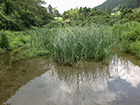 図版:五ケ山ダム堤体建設工事