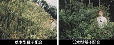 図版:種子配合による成立植生の制御