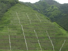 図版:早池峰ダム
