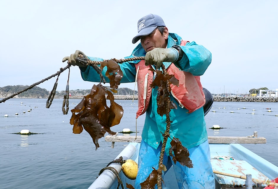 図版:漁業者による海面養殖