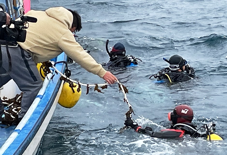 図版:ダイバーによるカジメの苗の設置活動