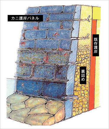 図版:カニ・ウナギ護岸パネル 断面イメージ
