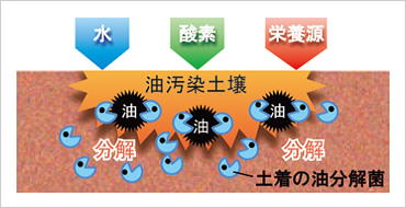 図版:バイオレメディエーションの概念図