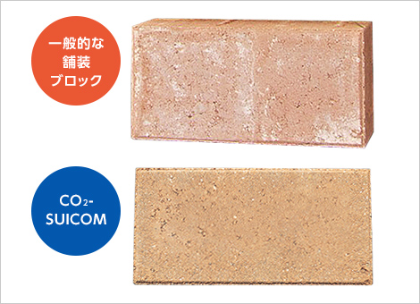 図版:エフロレッセンス(白華現象)発生状況