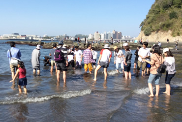 図版：江の島の西浦漁港海岸で行われた植え付けの様子