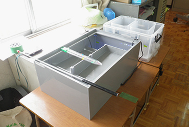 図版：教室に設置されたカワニナの飼育装置