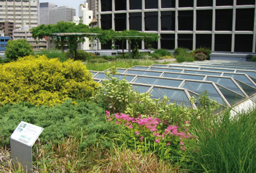 図版：赤坂KIビル屋上庭園