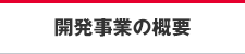 開発事業の概要