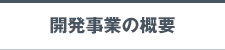 開発事業の概要