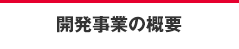 開発事業の概要