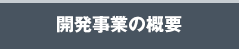 開発事業の概要