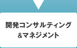 開発コンサルティング&マネジメント