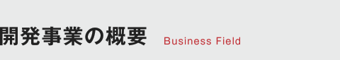 開発事業の概要