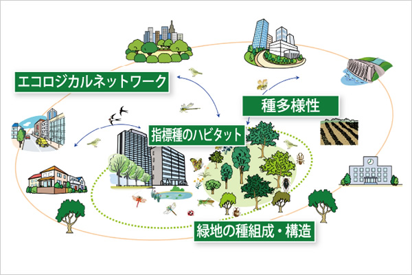 生物多様性ポテンシャル評価