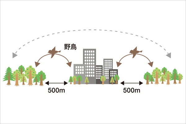 エコロジカルネットワーク評価技術