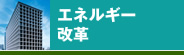 エネルギー改革