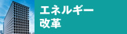 エネルギー改革