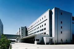 Taisho Pharmaceutical Co., Ltd.