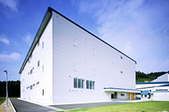 Teva Takeda Pharma Ltd.