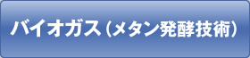 バイオガス（メタン発酵技術）