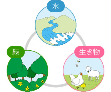 図版：グリーンインフラは水・緑・生き物から成り立つ