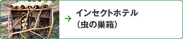 インセクトホテル（虫の巣箱）