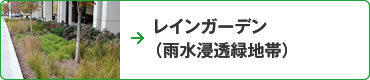 インガーデン(雨水浸透緑地帯)