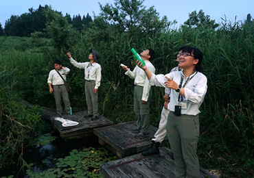 コウモリ観察会