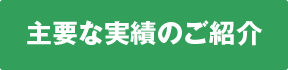 主要な実績のご紹介