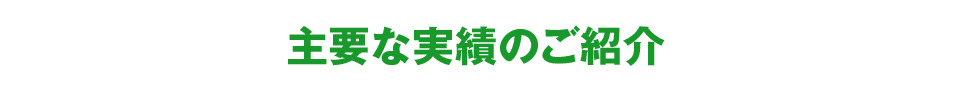 主要な実績のご紹介