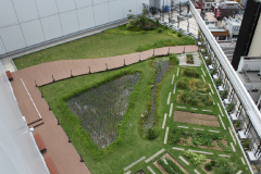 図版：8F屋上に整備した農園と水田