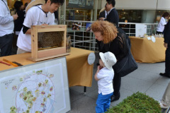 図版：店頭でのマルシェにおける観察箱展示