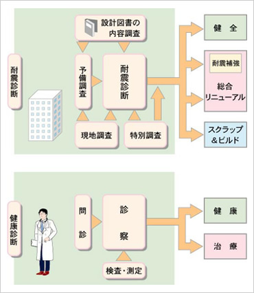 図版：建物耐震診断の流れと健康診断の流れの比較