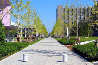 図版:埼玉医科大学日高キャンパス