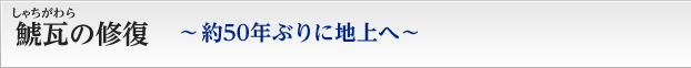 鯱瓦（しゃちがわら）の修復　約50年ぶりに地上へ