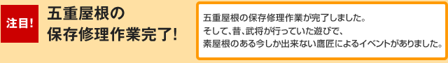 五重屋根の
保存修理作業完了!