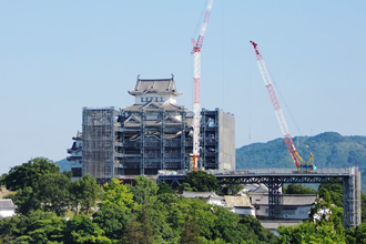 写真：鉄骨の組みあがり状況全景