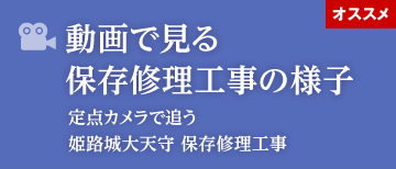 動画で見る保存修理工事の様子