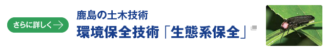 環境保全技術「生態系保全」