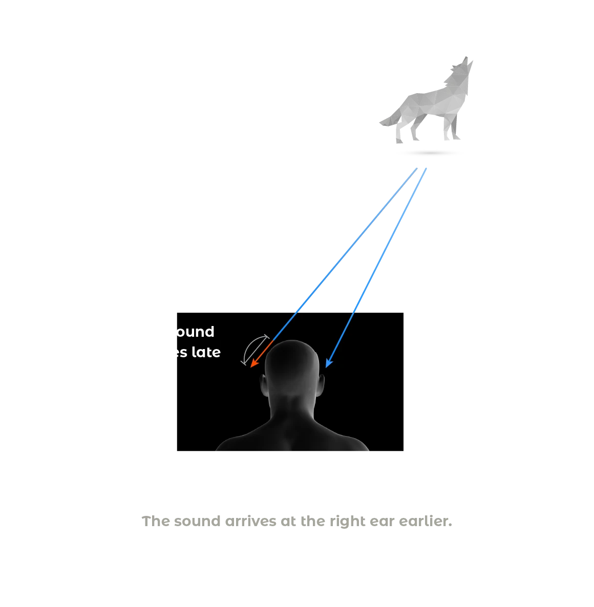 The sound arrives at the right ear earlier.Detected on the right.