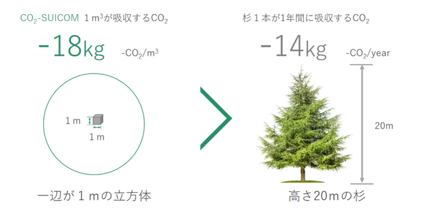 図版