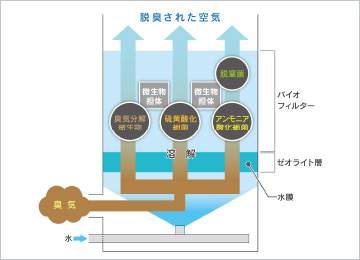 図版：BADOS