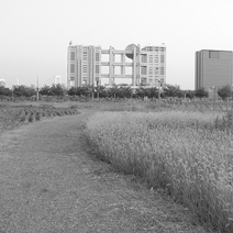 写真：フジテレビ本社遠景