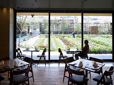 図版：京都八百一本館 